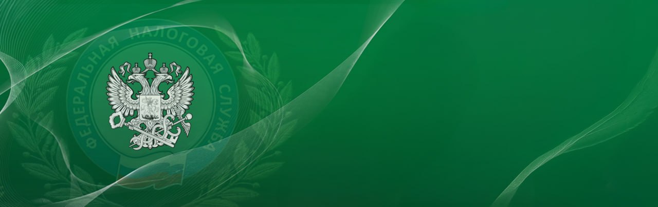 Справка ФНС